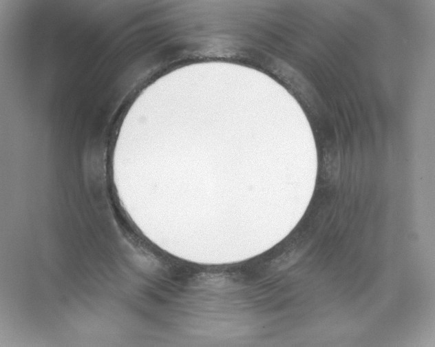 X0000074240534200609222101
