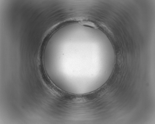 X0000074240536200609222101