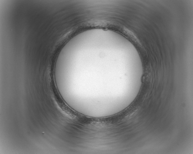 X0000074240538200609222101