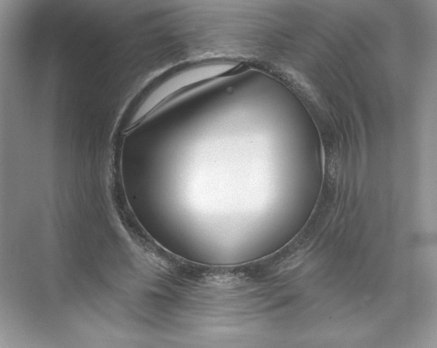X0000074240540200609222101