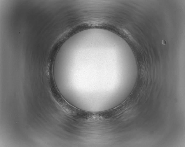 X0000074240543200609222102