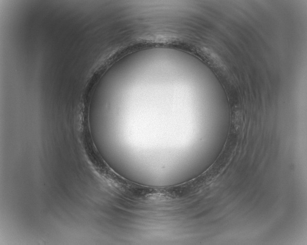 X0000074240544200609222102