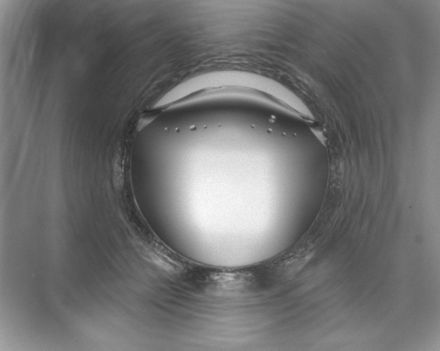 X0000074240558200609222102