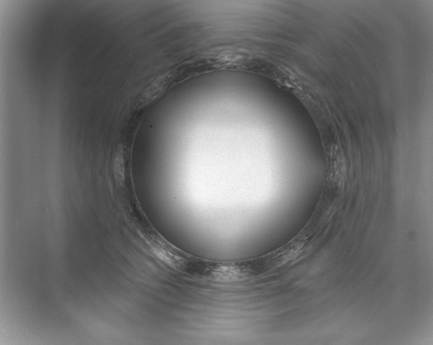 X0000074240562200609222102