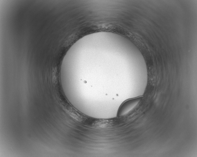 X0000074240563200609222102