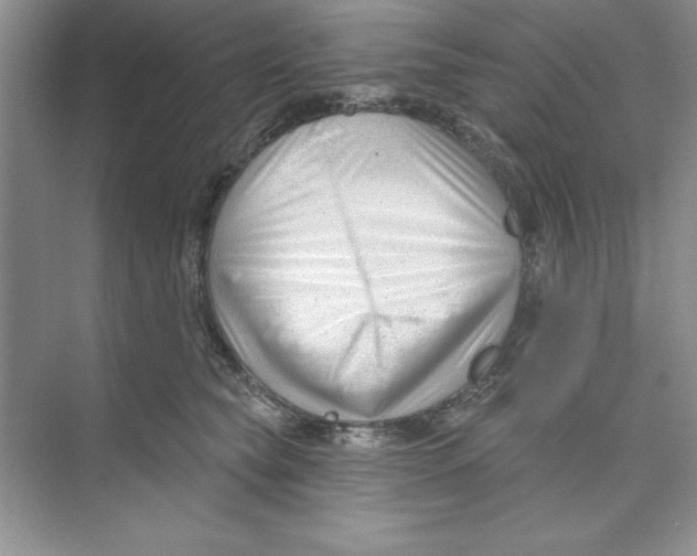 X0000074240565200609222102
