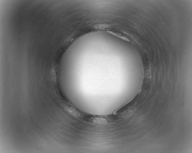 X0000074240572200609222102