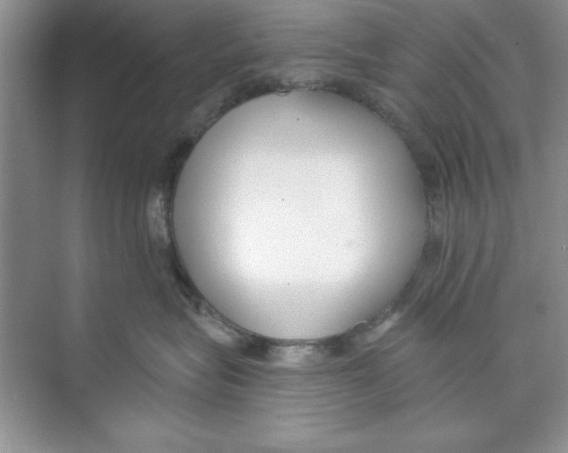 X0000074240575200609222102