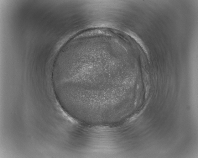 X0000074240577200609222101