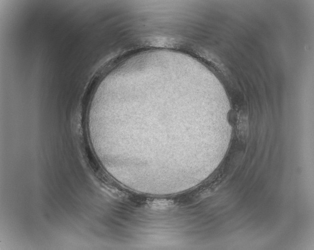 X0000074240587200609222101