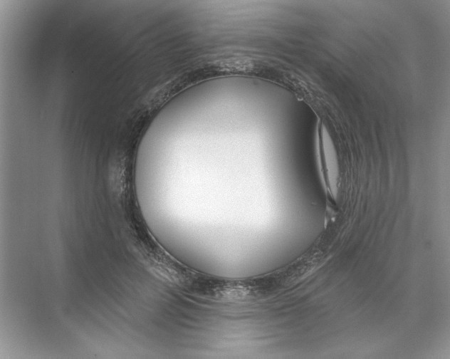 X0000074240600200609222101
