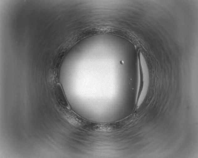 X0000074240601200609222101