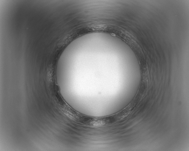 X0000074240604200609222101
