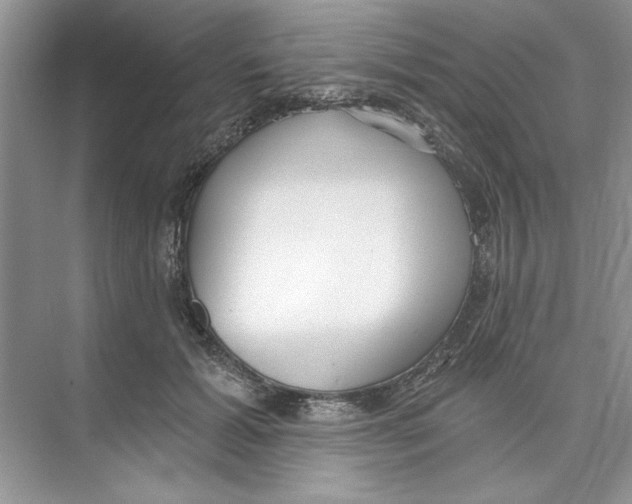 X0000074240605200609222101