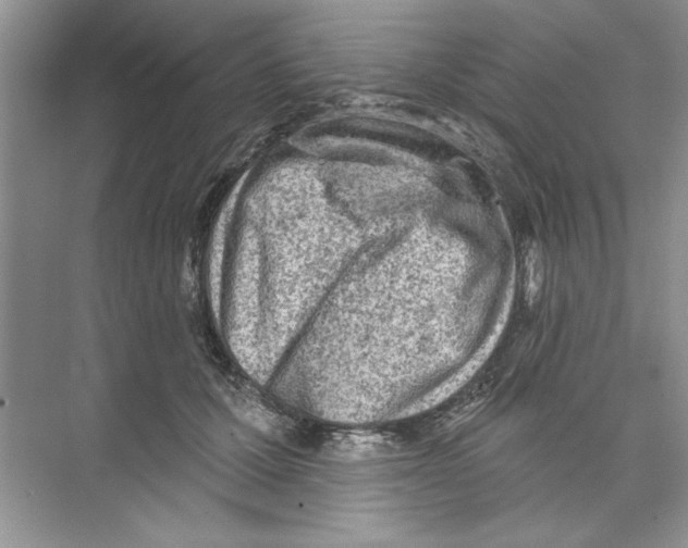 X0000074240607200609222101