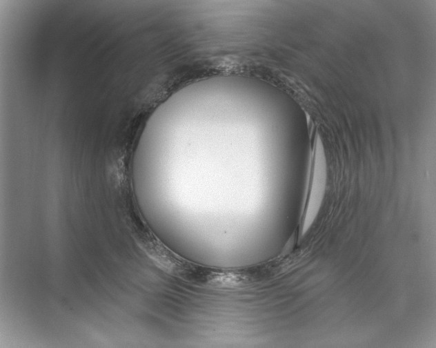X0000074240611200609222101