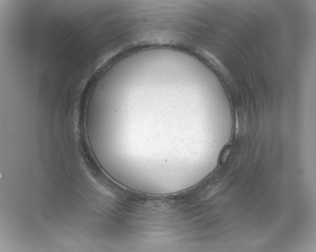 X0000074240627200609222100