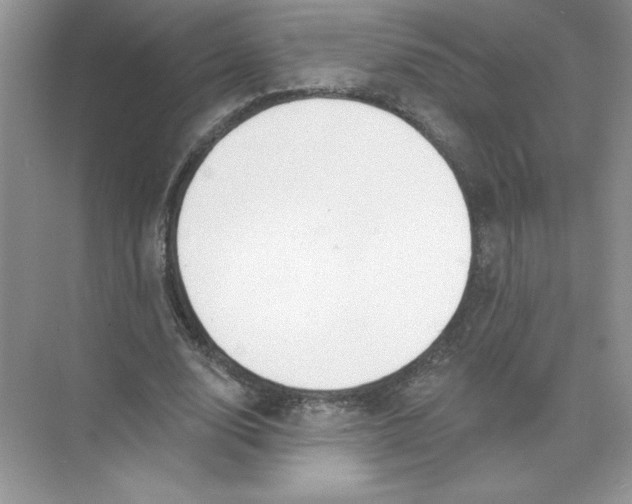 X0000074240632200609222100