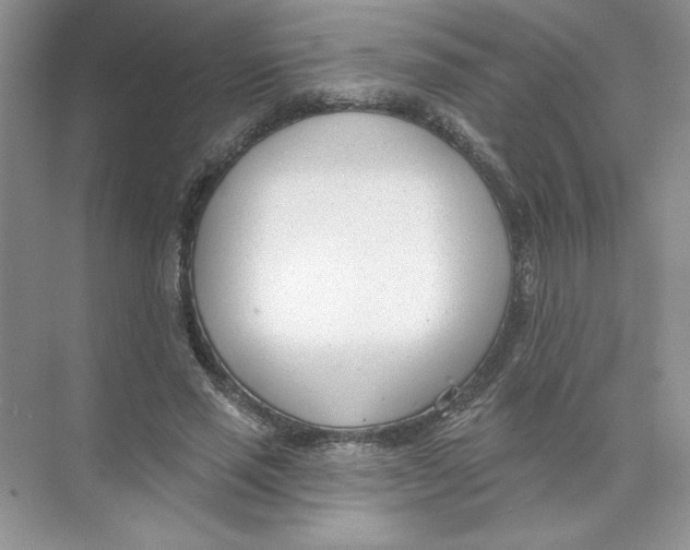 X0000074240637200609222100