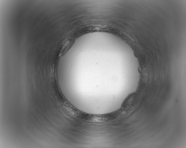X0000074240657200609222100