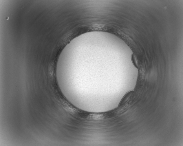 X0000074240665200609222100