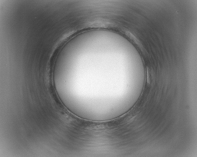 X0000074240675200609222100
