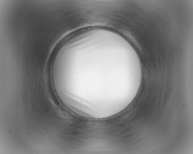 X0000074240676200609222100