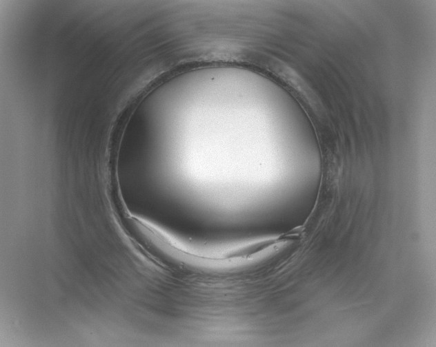 X0000074240677200609222100