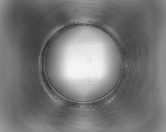 X0000074240678200609222100