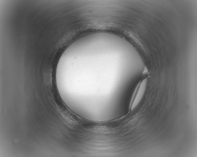 X0000074240685200609222059