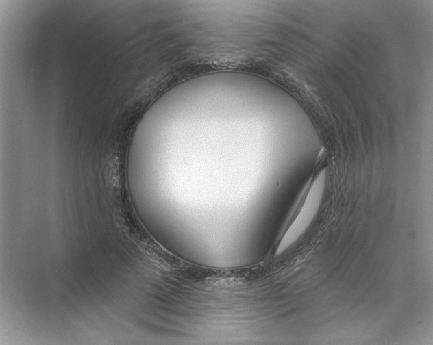 X0000074240689200609222059