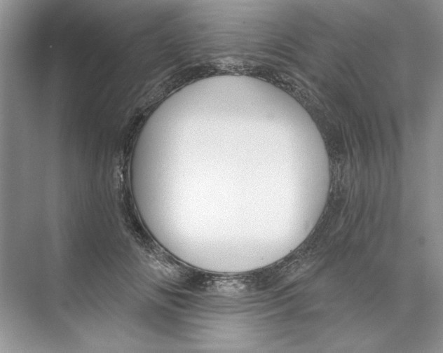 X0000074240702200609222059