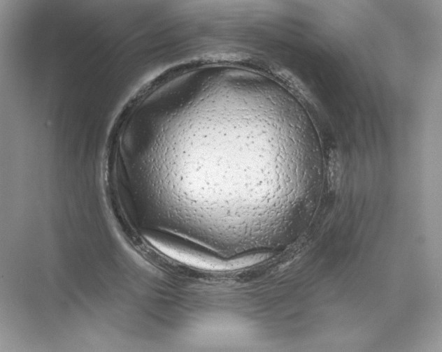 X0000074240726200609222058