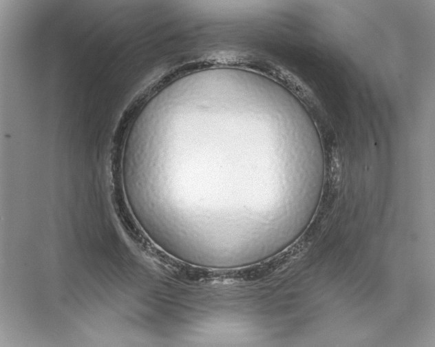 X0000074240730200609222058
