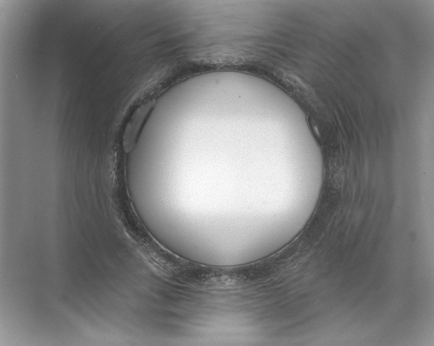 X0000074240735200609222058