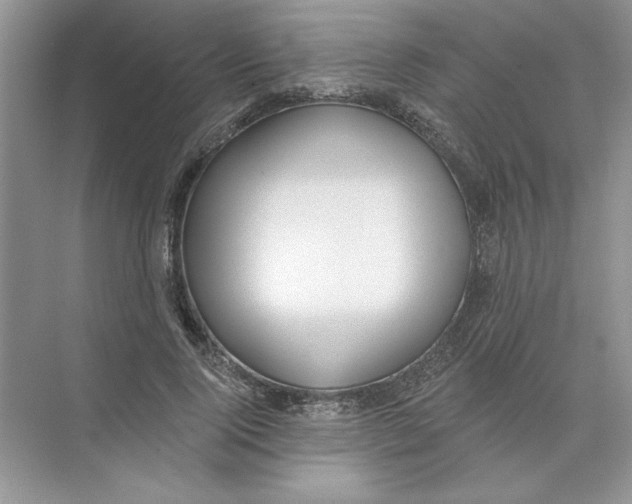 X0000074240740200609222058