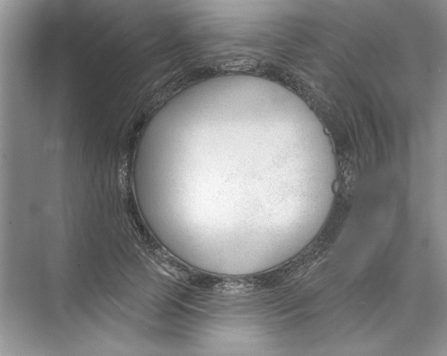 X0000074240745200609222058
