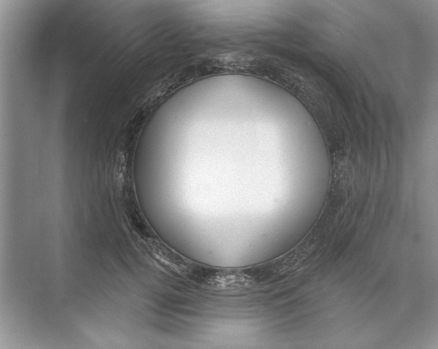 X0000074240752200609222059