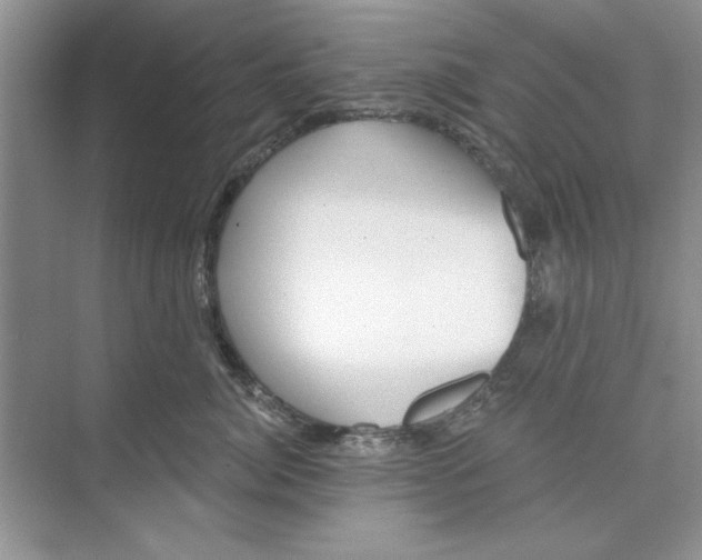 X0000074240764200609222059