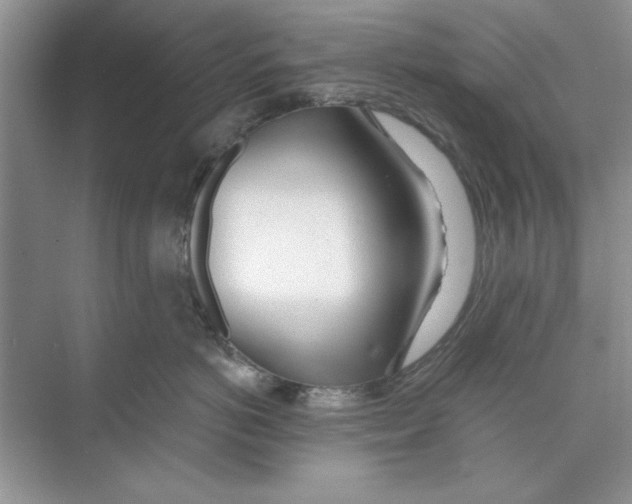 X0000074240766200609222059