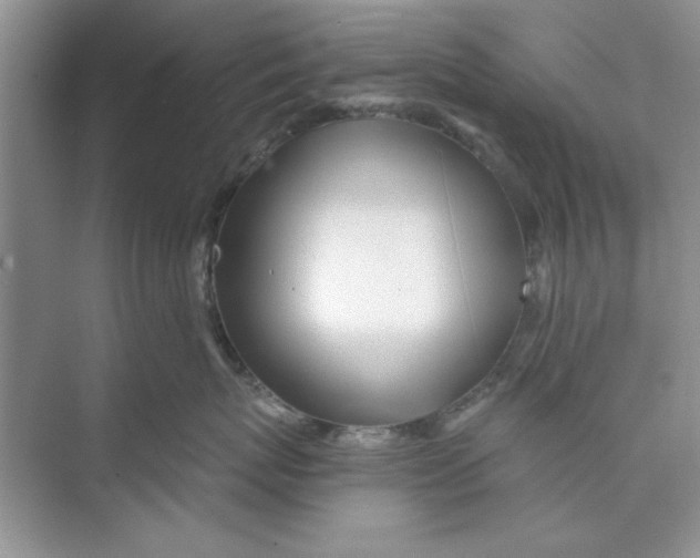 X0000074240767200609222059