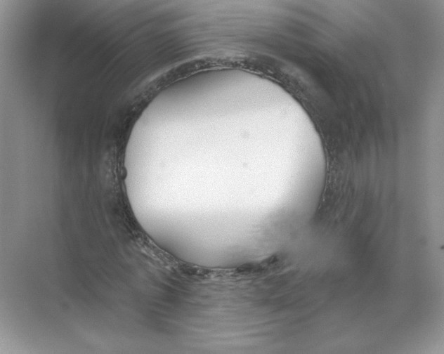 X0000074240773200609222058