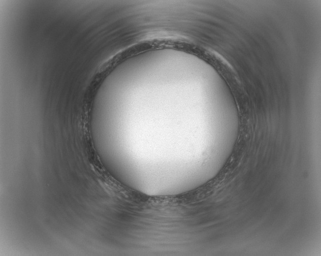 X0000074240775200609222058