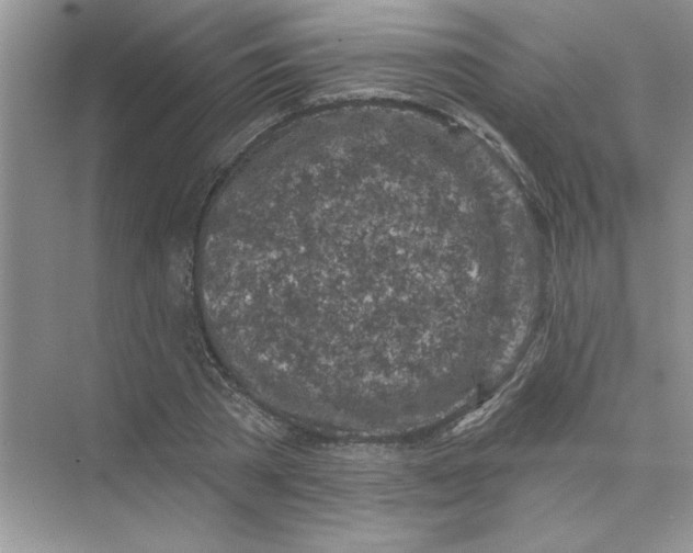 X0000074240785200609222058