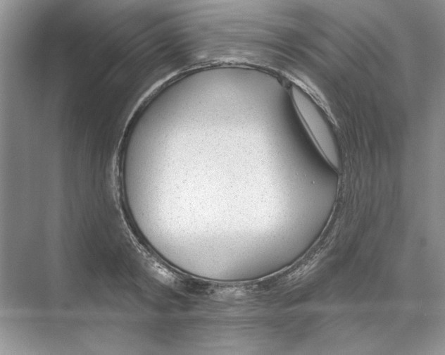 X0000074240798200609222058