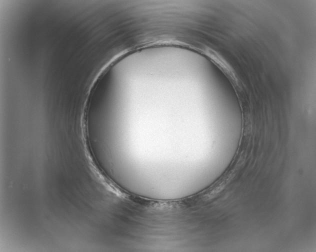 X0000074240806200609222057