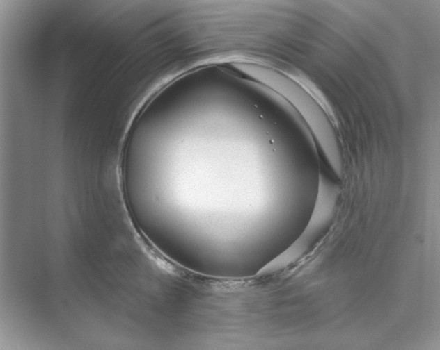 X0000074240813200609222057