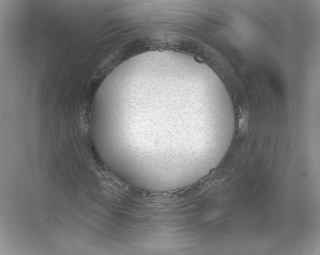 X0000074240819200609222056
