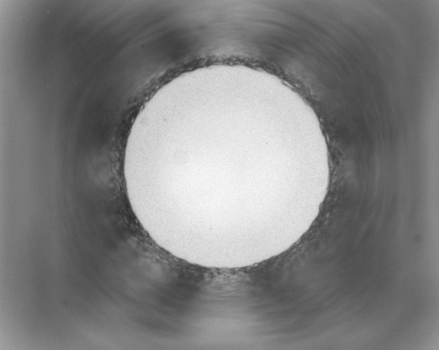X0000074240824200609222057