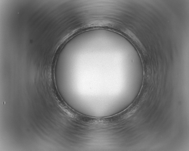 X0000074240834200609222057